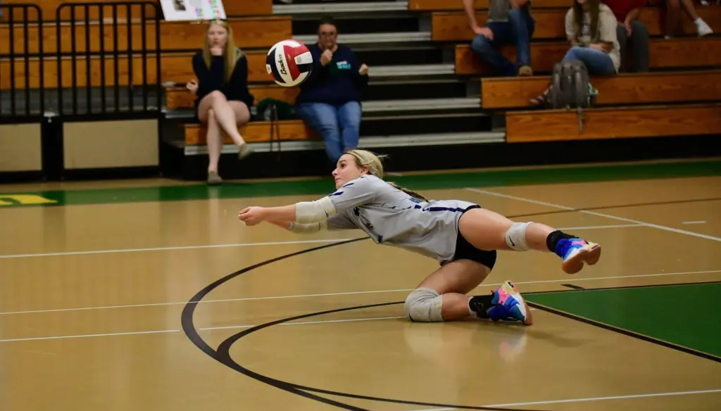 dsc_0072-e1759499922918409070