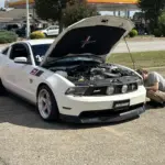 photo-oct-04-2025-12-09-58-pm