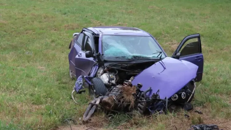 img_0178_copy_1000x563