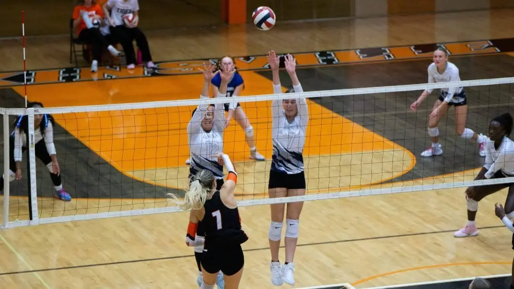 dsc00595-e1759901188767343425