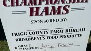 magic-movie-1_preview-0000000