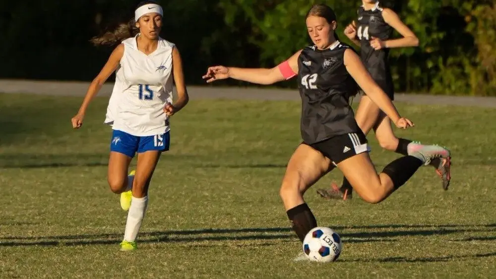 dsc00815-ezgif-com-resize100986