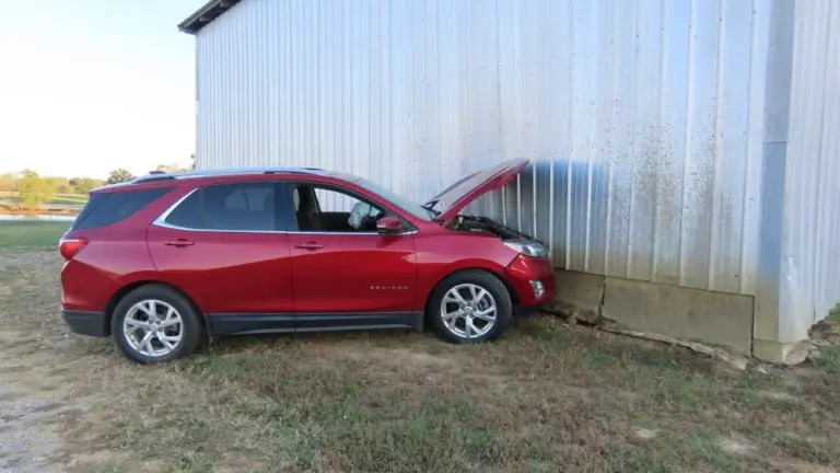 img_0214_copy_1000x563