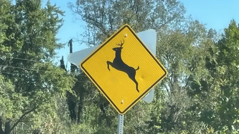 deer-crossing-signage-2-jpg-4