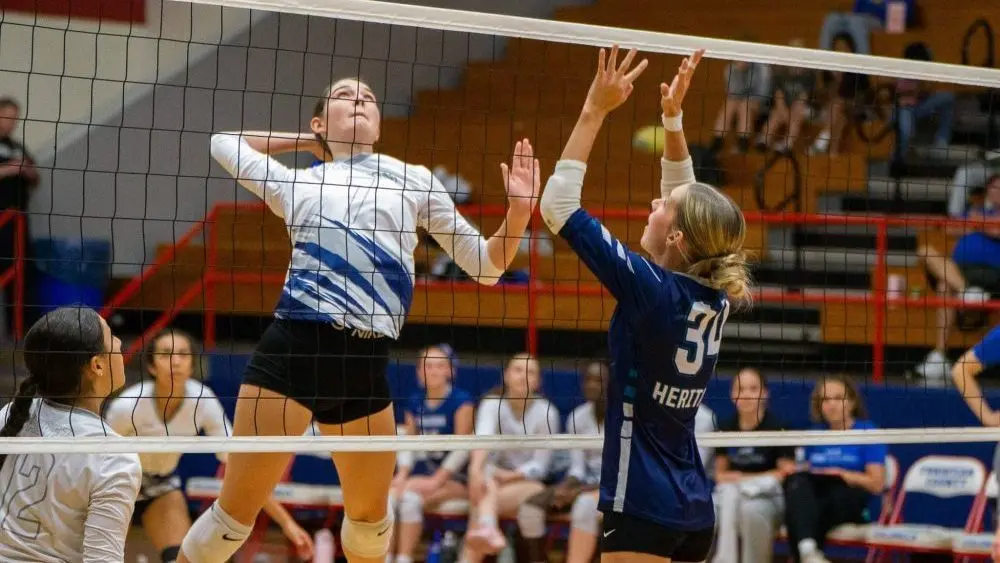 dsc01877-e1761116673256940281