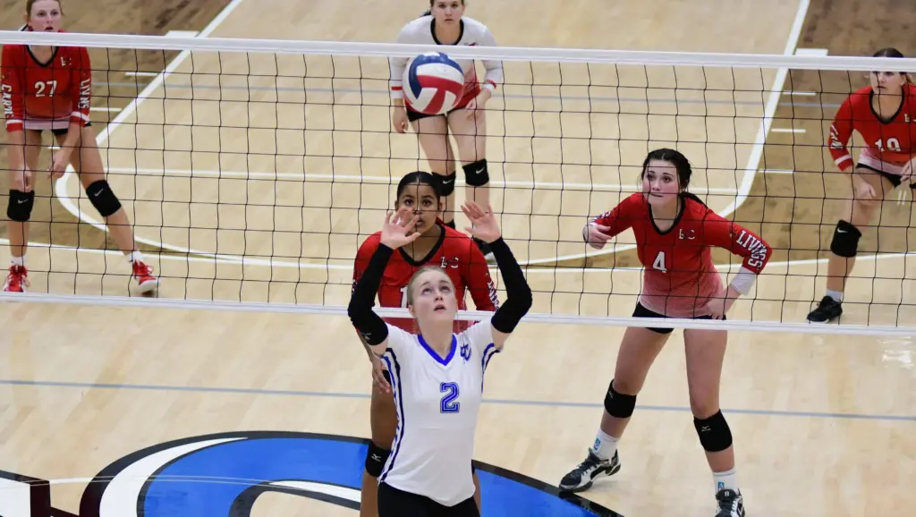 dsc_8233-e1761189802706345924