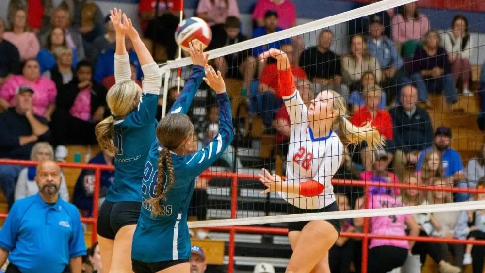 dsc02106-e1761280239451877526