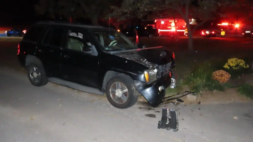 img_0251_copy_1000x563