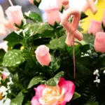 102525-pink-out-20