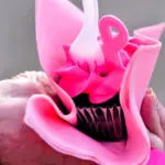 102525-pink-out-1