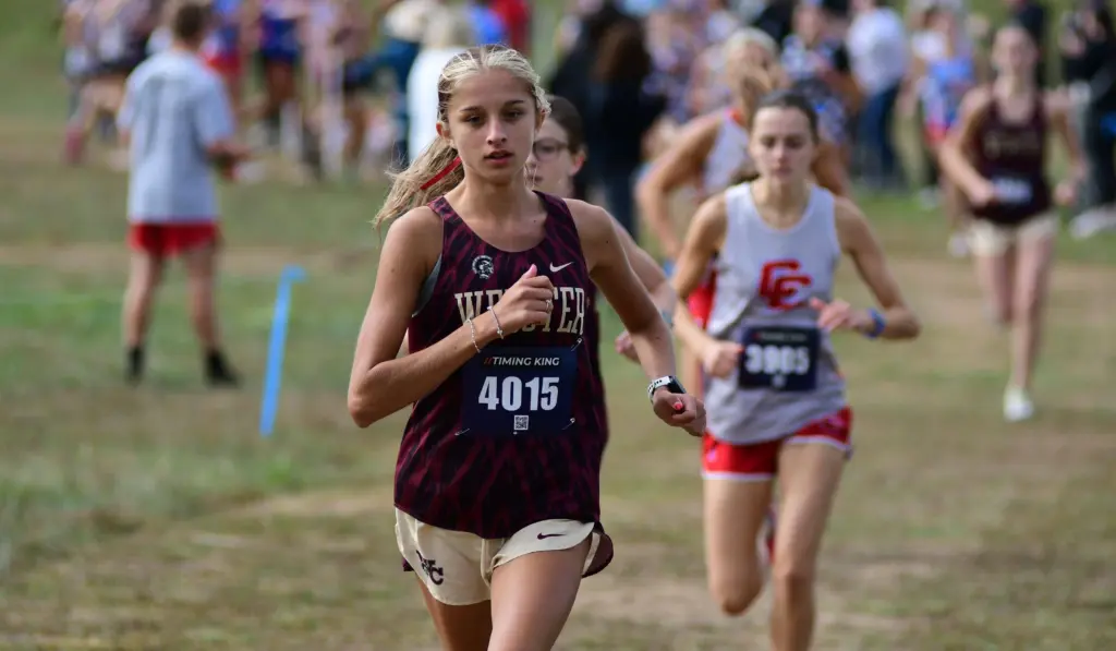 dsc_9840-e1761533318662241018