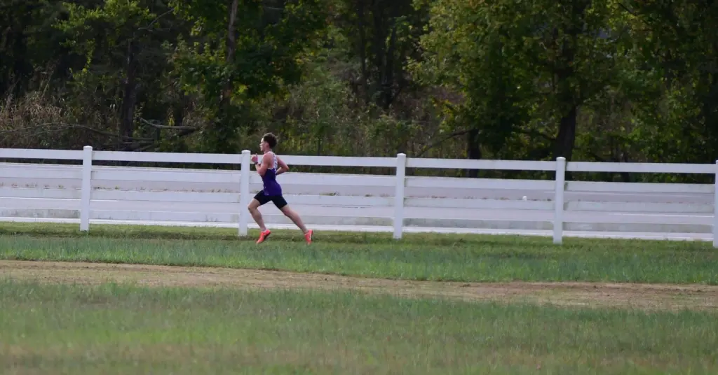 dsc_8745-e176159536972546270