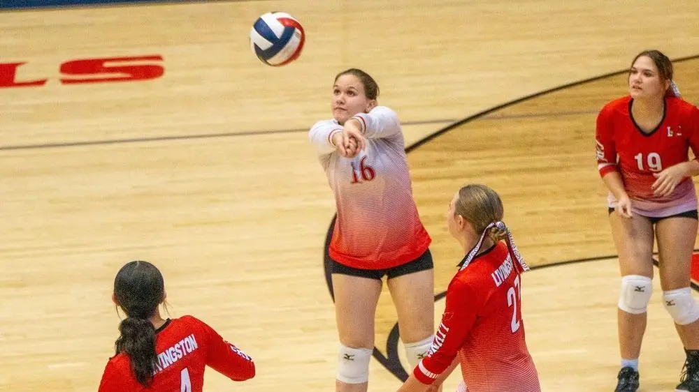 dsc02677-e1761610980926226233