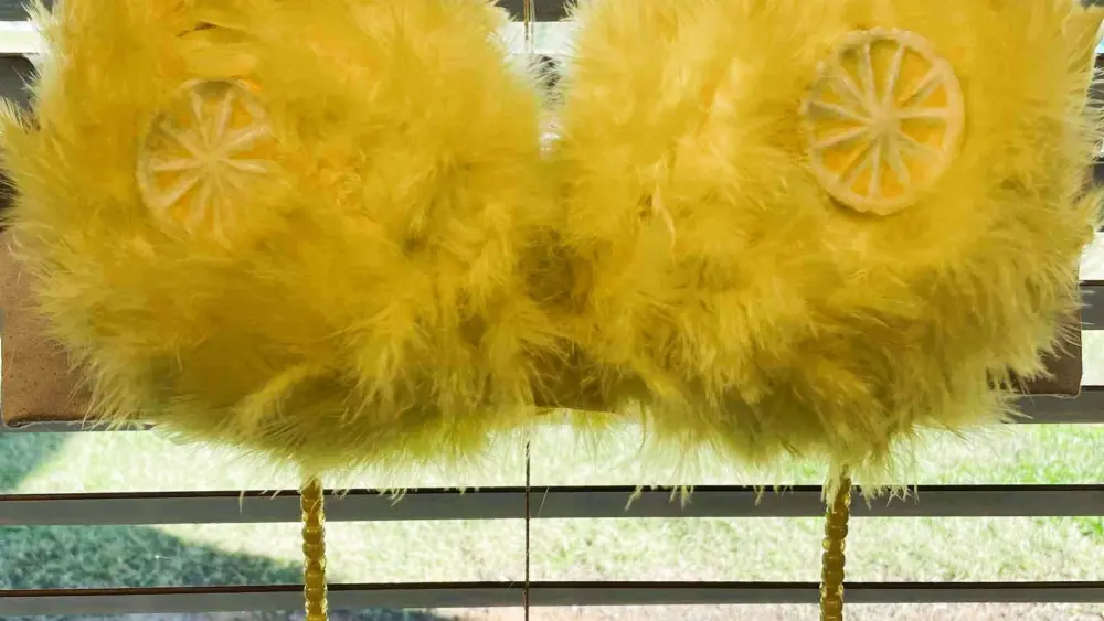 103025-save-the-boobies-19-jpg