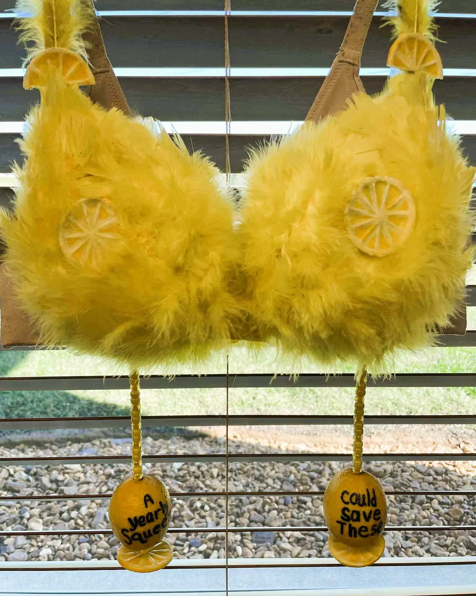 103025-save-the-boobies-19-jpg