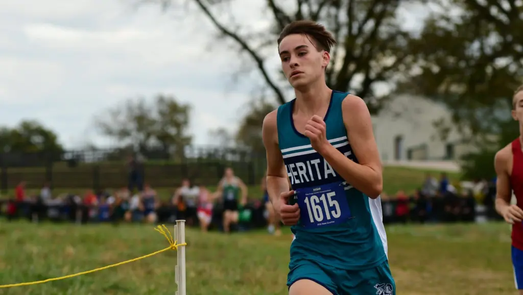 dsc_1361-e1762139740879995449