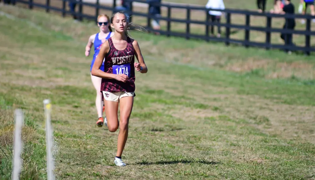 dsc_0968-e176222904882390646