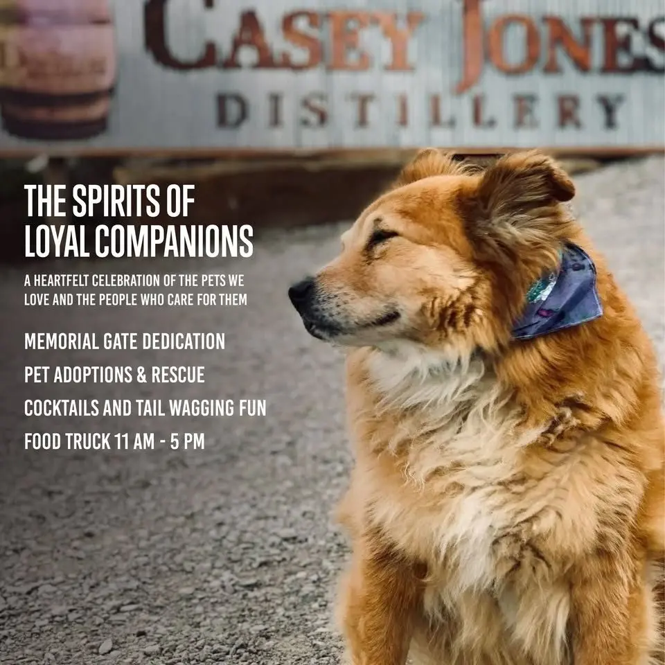 576518170_818587090804966_5373360533242906656_n