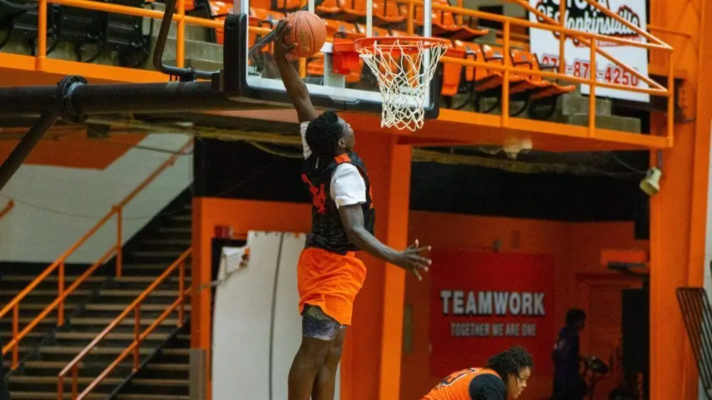 dsc04547-e1763097597860496556