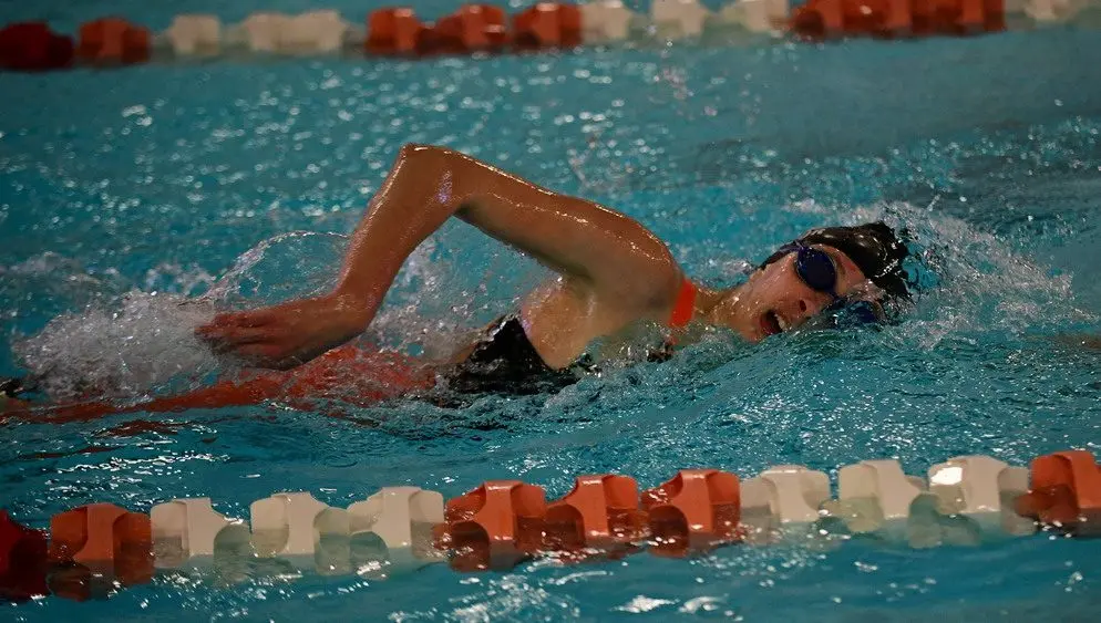 dsc_6866_cropped609644