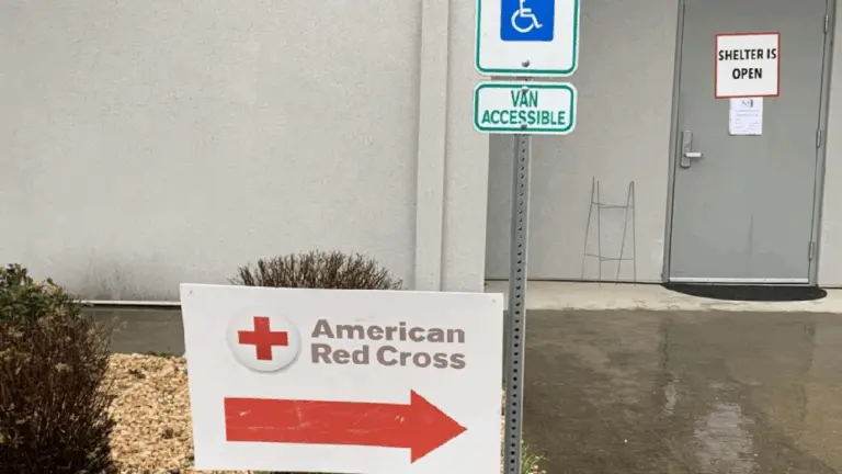 screenshot_20251121-131903