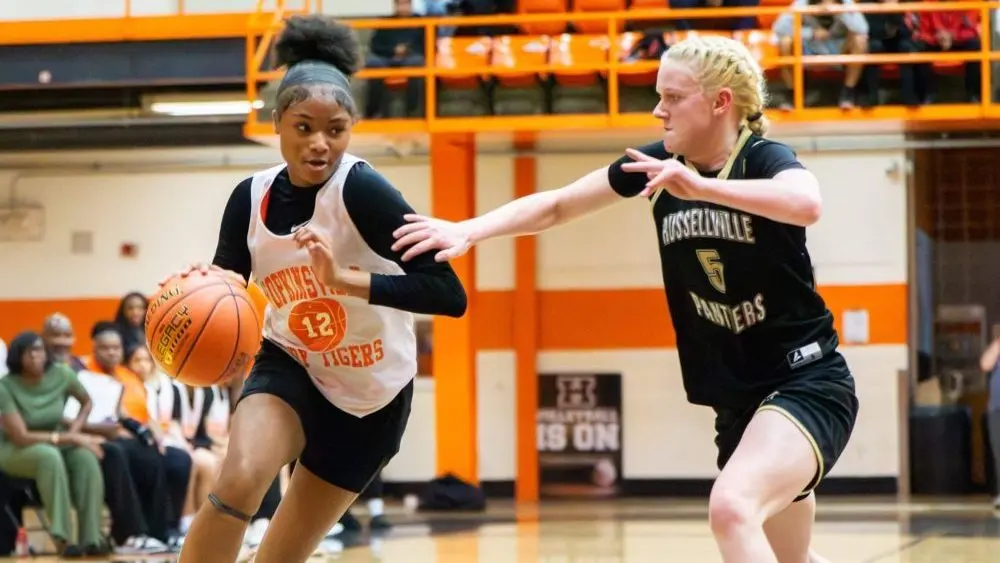 dsc05247-e1763788690142381442