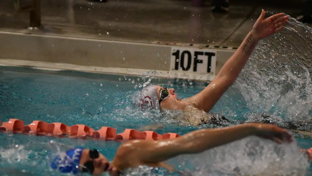 dsc_5342-e1763958822885636803