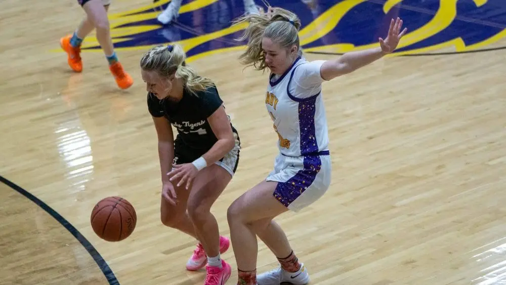 dsc05737-e1764741708430385288