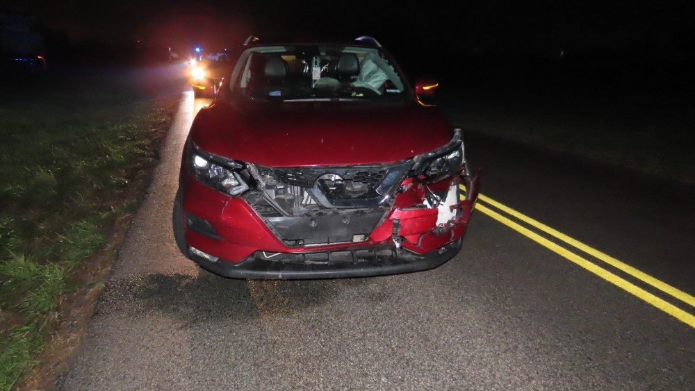 img_0574_copy_1000x563