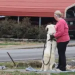 img_0578_copy_1000x563