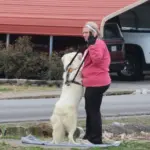 img_0579_copy_1000x563