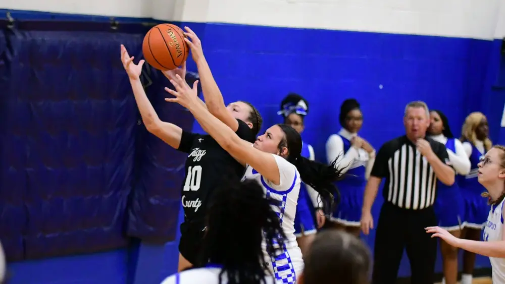 dsc_1270-e1765036117641887823