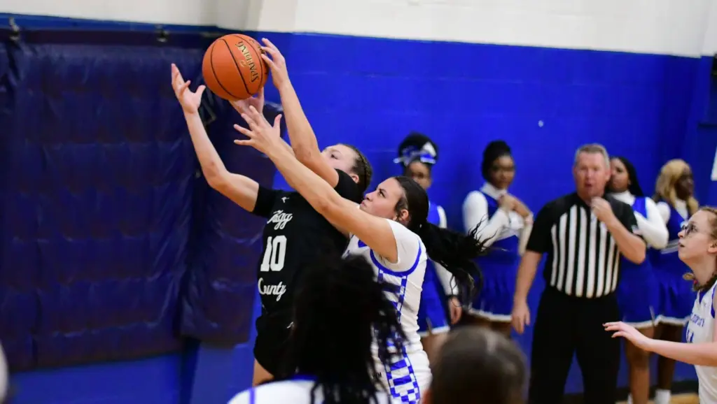 dsc_1270-e1765036117641887823