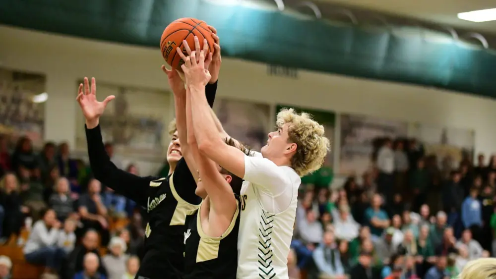 dsc_1924-e1765257555585785694