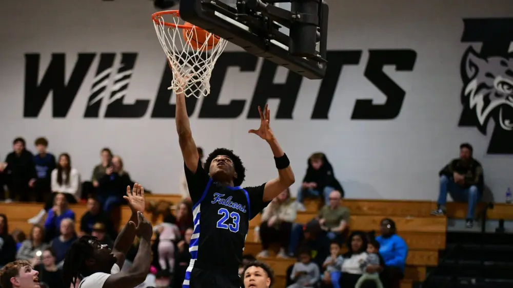 dsc_2270-e1765397698320287392