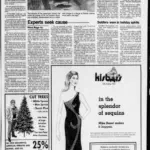 the_jackson_sun_1985_12_13_3