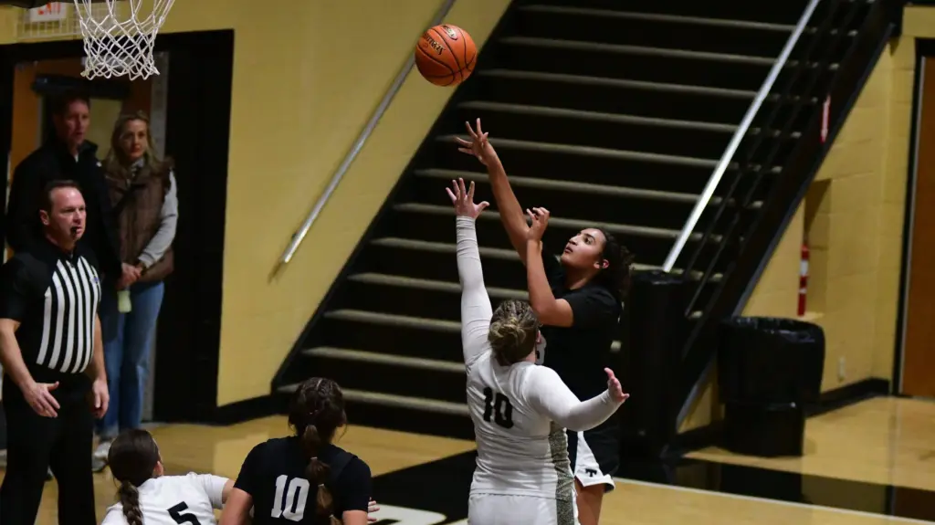 dsc_3210-e1765606862776365214