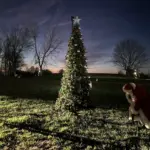 2025-12-12-17-22-17-1