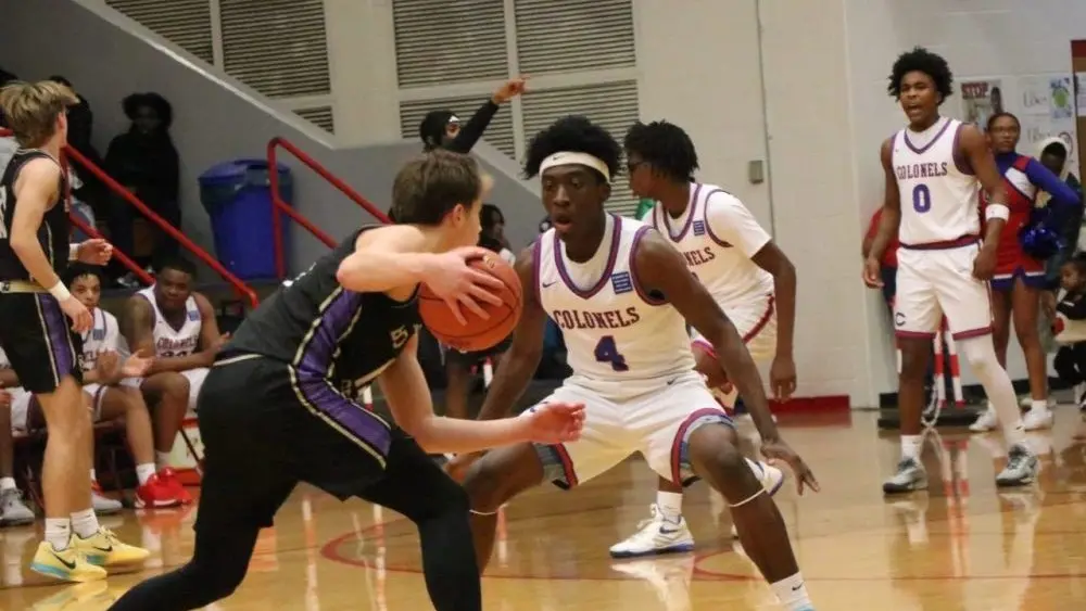 cols-purples-13-e1765938154888550335