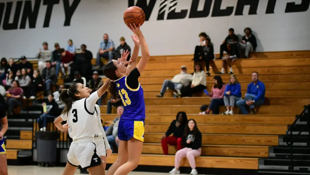 dsc_7193-e1765947228797767058