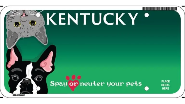 121725-spay-neuter-2