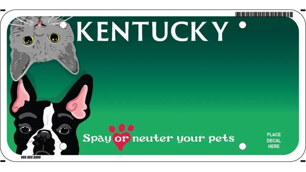 121725-spay-neuter-2