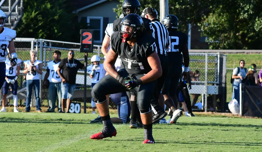 dsc_1372-e1766785277775441280