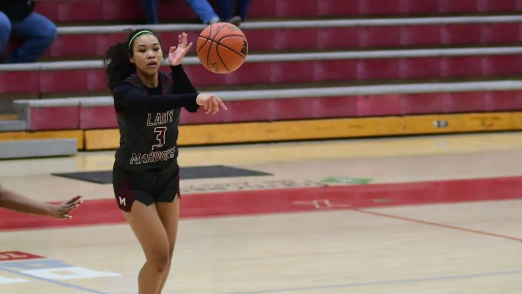 dsc_8372-e1766993546904175484