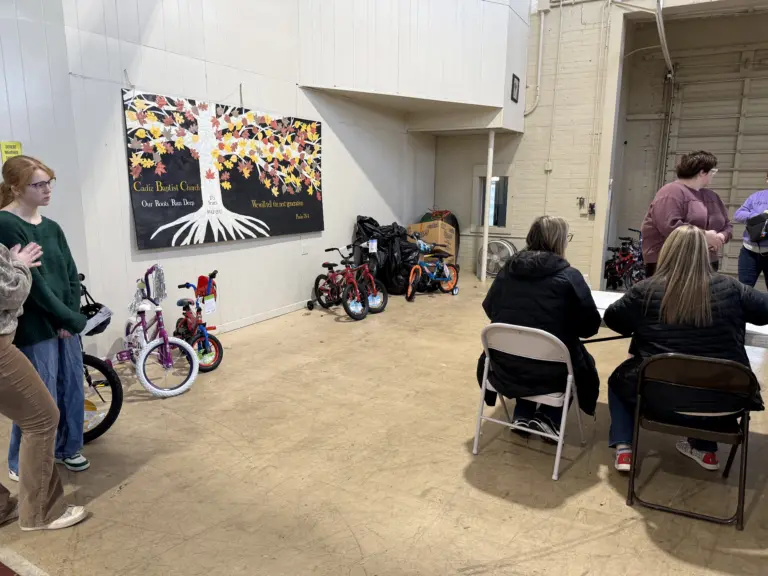 beta-nu-angel-tree-4