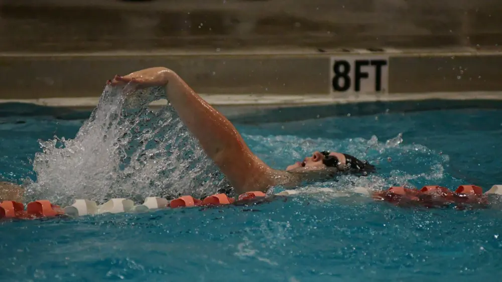 dsc_5217-e1767854356189964835