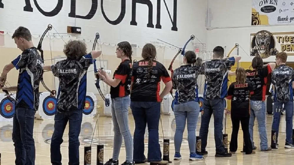 falcon-archery795405