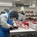 photo-jan-20-2026-2-28-58-pm