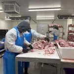 photo-jan-20-2026-2-29-41-pm