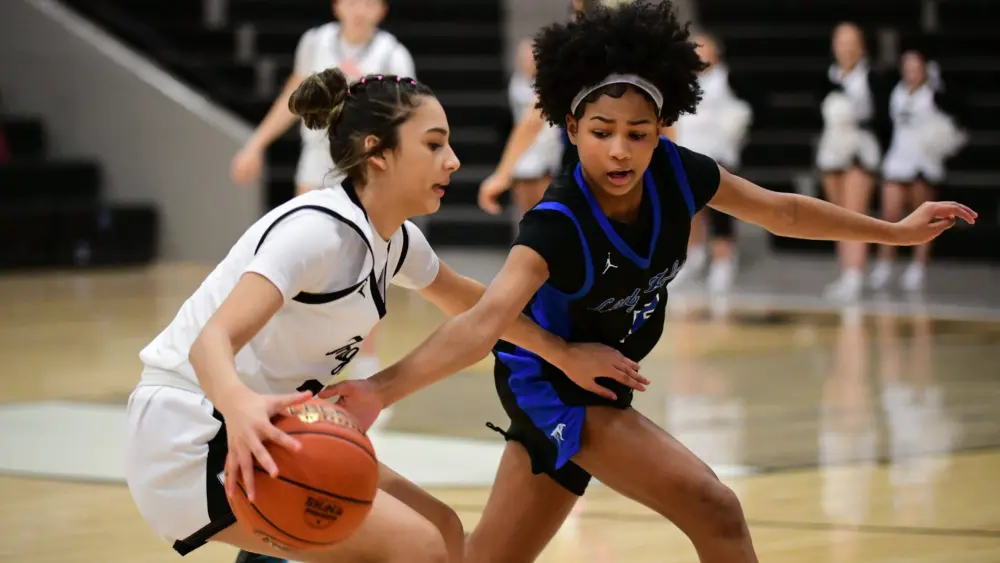 dsc_2909-e1769149181233159316